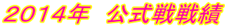 2014年 公式戦戦績